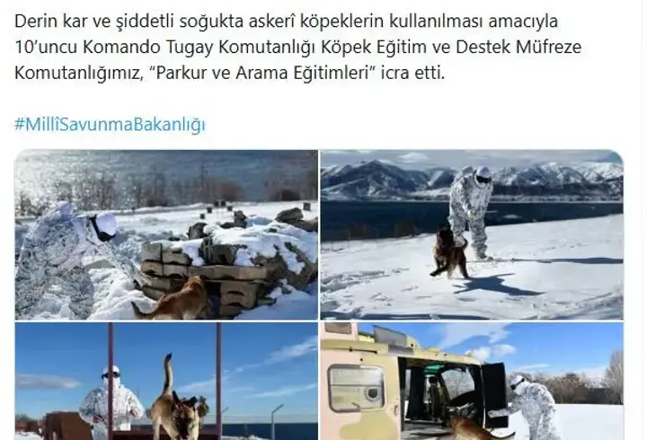 Mehmetçikten derin karda köpekli arama eğitimi