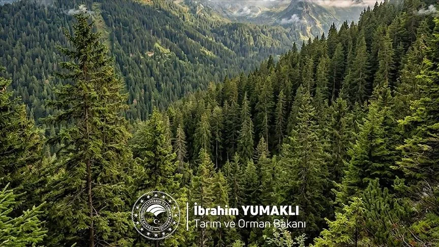 Bakan Yumaklı, Dünya Ormancılık Günü ve Orman Haftası'nı kutladı