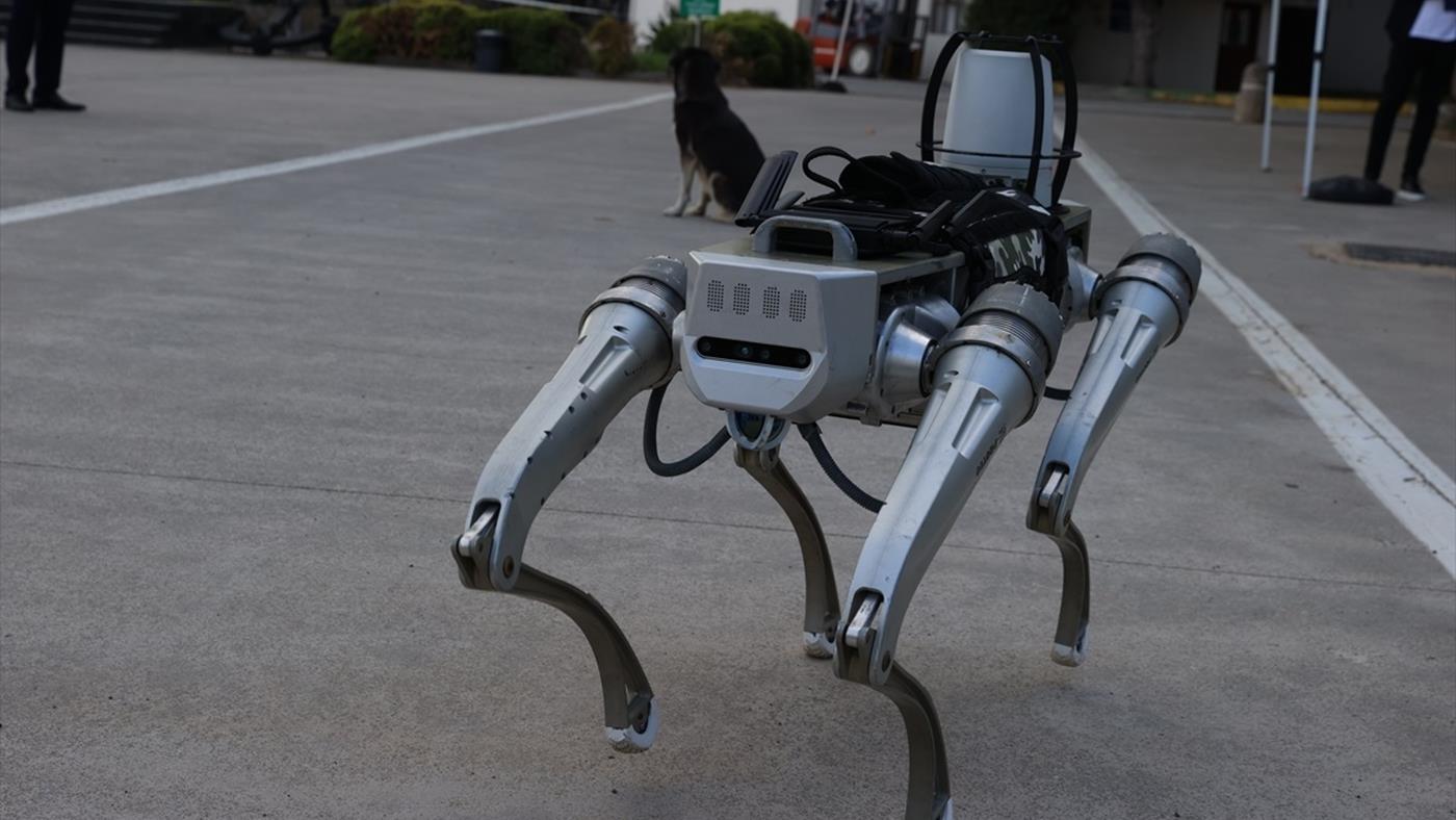 Yerli robot köpek PROTEO, 2026 başında göreve hazır olacak