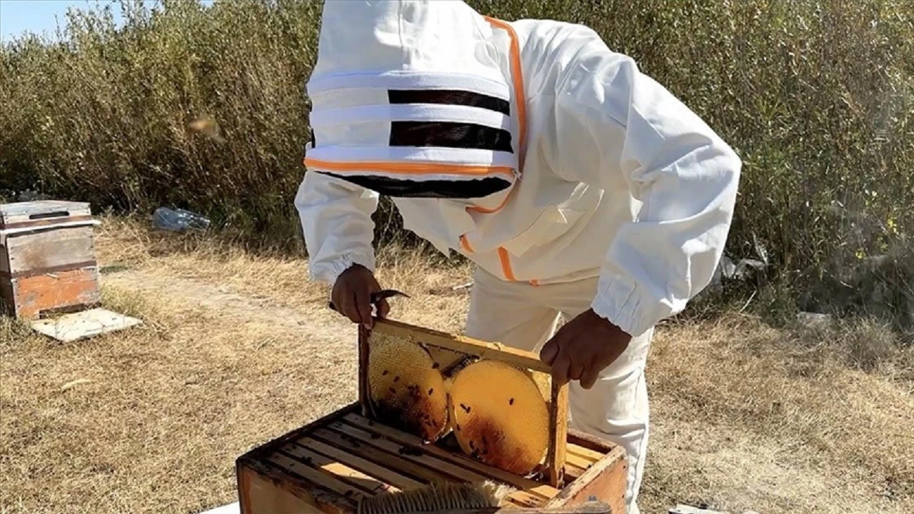2025 yılı için balın kilogram maliyeti belli dolu