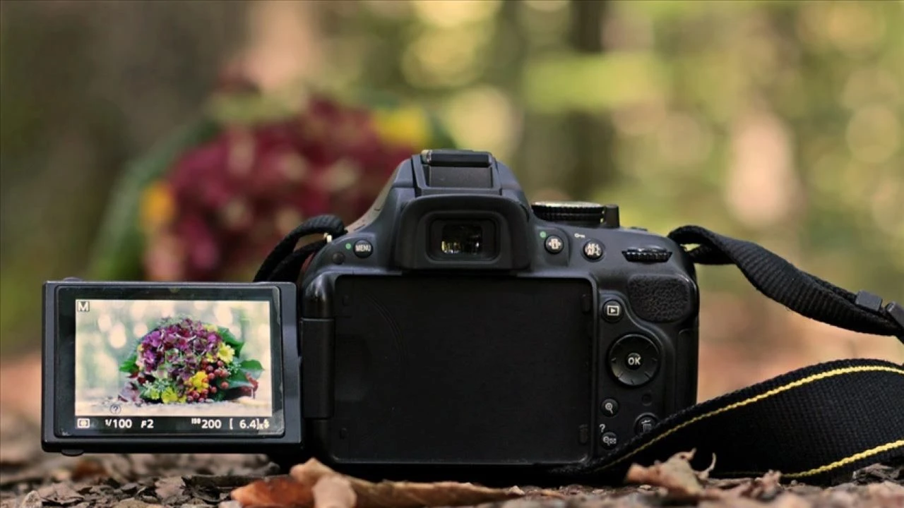 Getty Images ve Shutterstock'un birleşme kararına hissedar onayı!