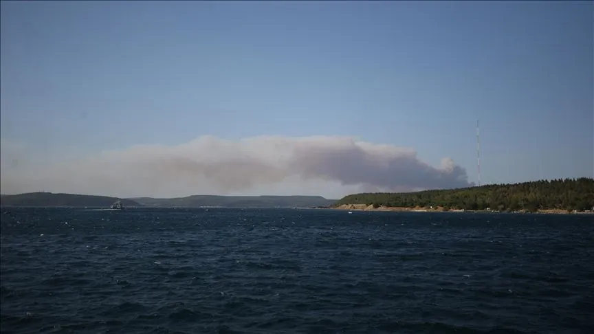 Çanakkale ve Sinop'ta ormanlık alanda çıkan yangına müdahale ediliyor