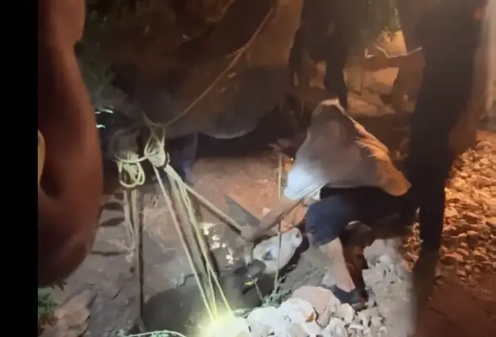 Su kuyusuna düşen dana, 2 saatlik çalışmayla kurtarıldı