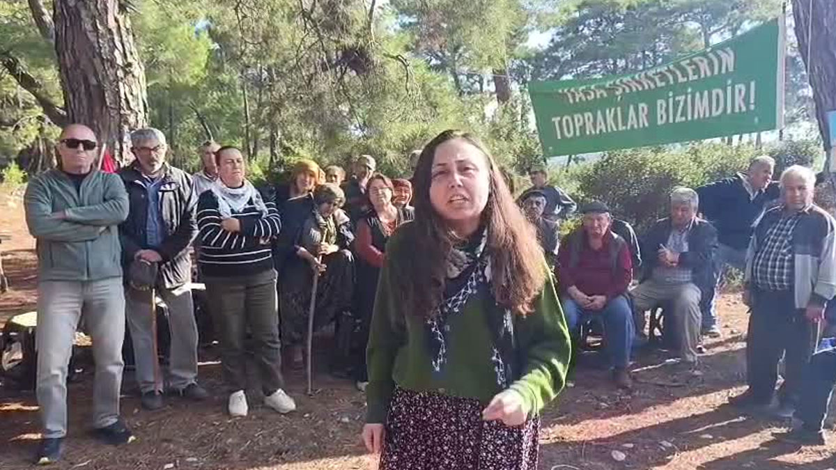 Akbelen’de Acele Kamulaştırmaya Danıştay’dan Onay: Enerji Arz Güvenliği Gerekçe Gösterildi