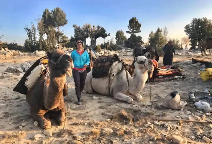 Sarıkeçili Yörüklerin develi 'kış yurdu' yolculuğu sürüyor
