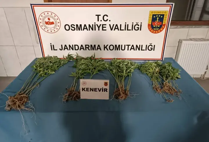 Osmaniye’de jandarma son bir haftada 115 şüpheliyi yakaladı
