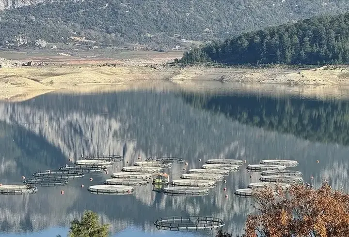16 işletme, 4.500 ton kapasite: Karacaören’de balıkçılıkta rekor yıl