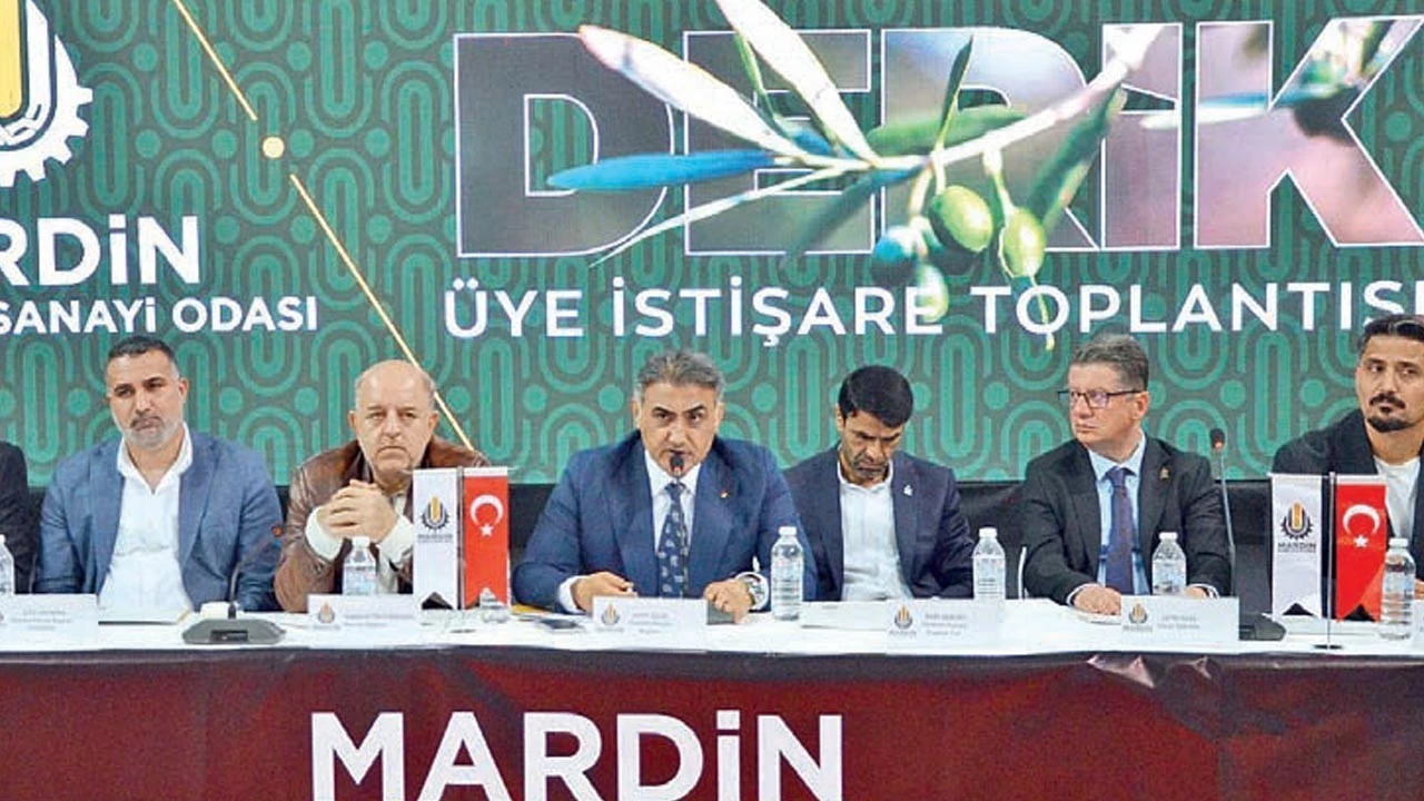 Derik'te tarım ve sanayiye yeni yatırımlar geliyor