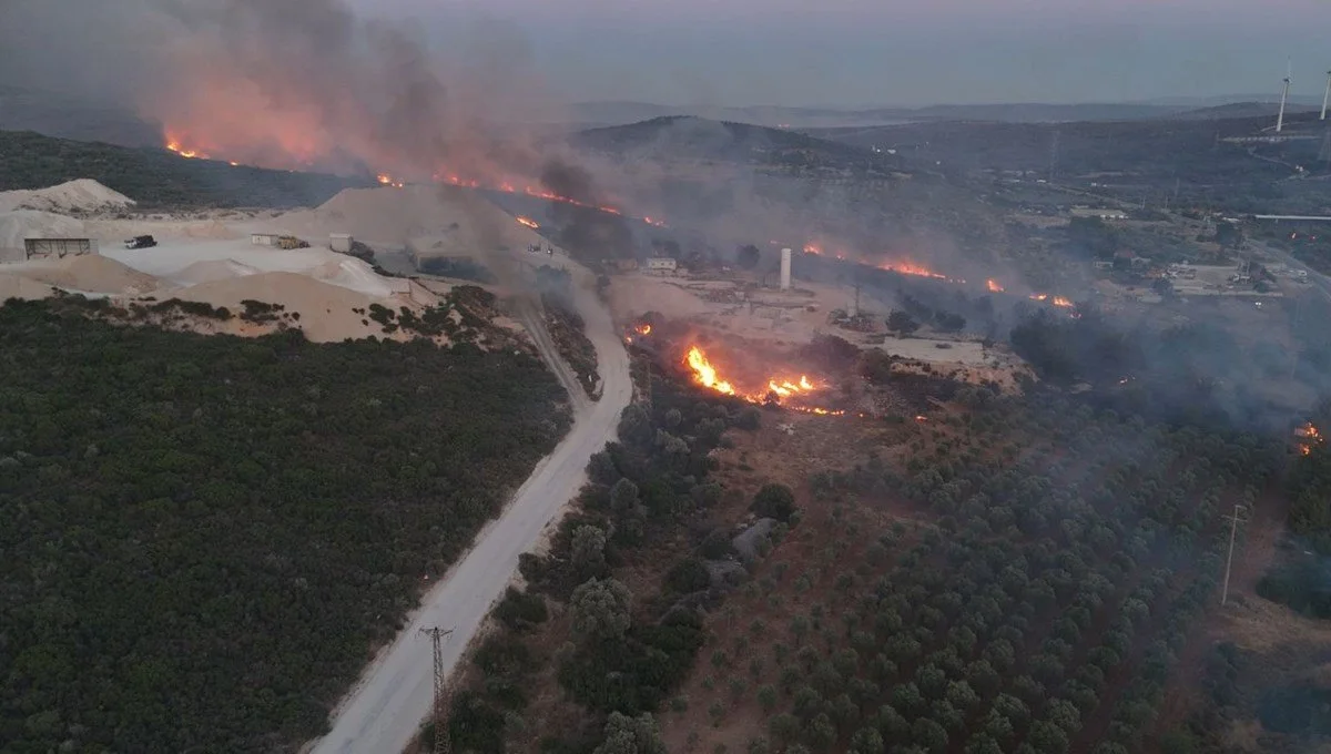 Ödemiş, Buca ve Çeşme'de son durum: İzmir'de ormanlar sabaha kadar için için yandı