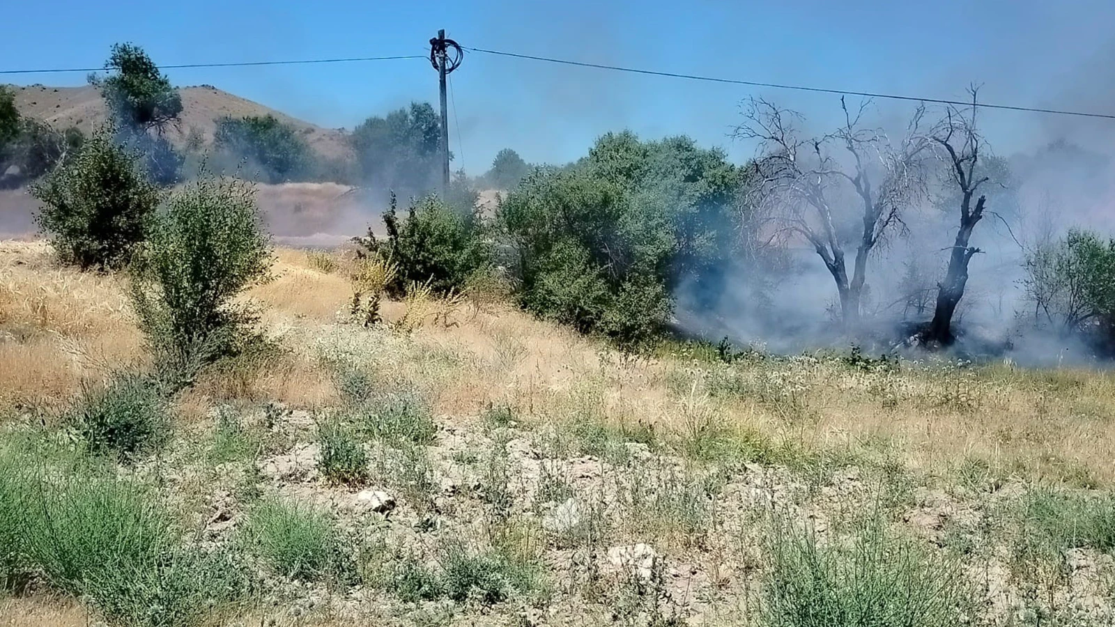 Elazığ'da korkutan yangın: Onlarca dönümlük alan kül oldu