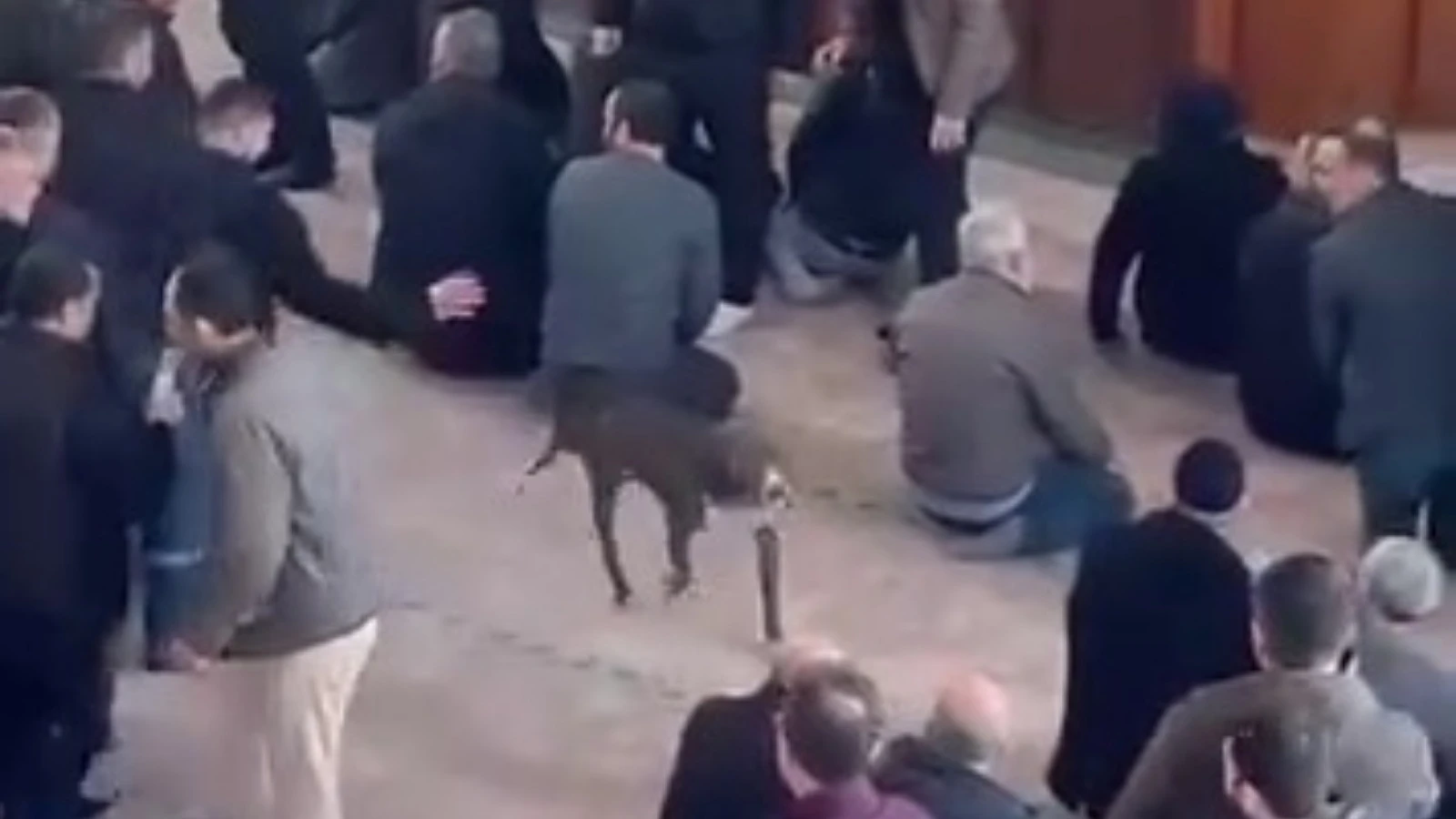 Cuma namazı esnasında camiye pitbullun girdiği anlar kamerada