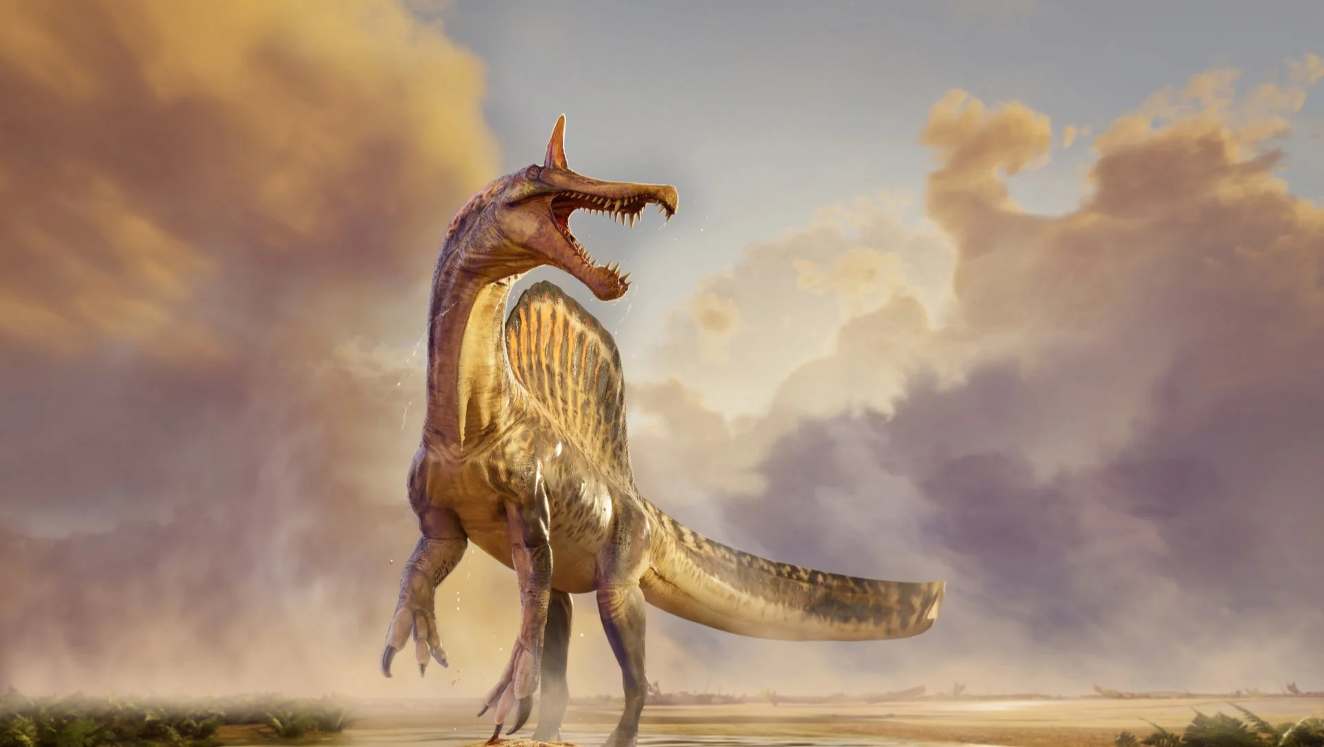 Yeni Bir Spinosaurus Türü Keşfedilmiş Olabilir mi?