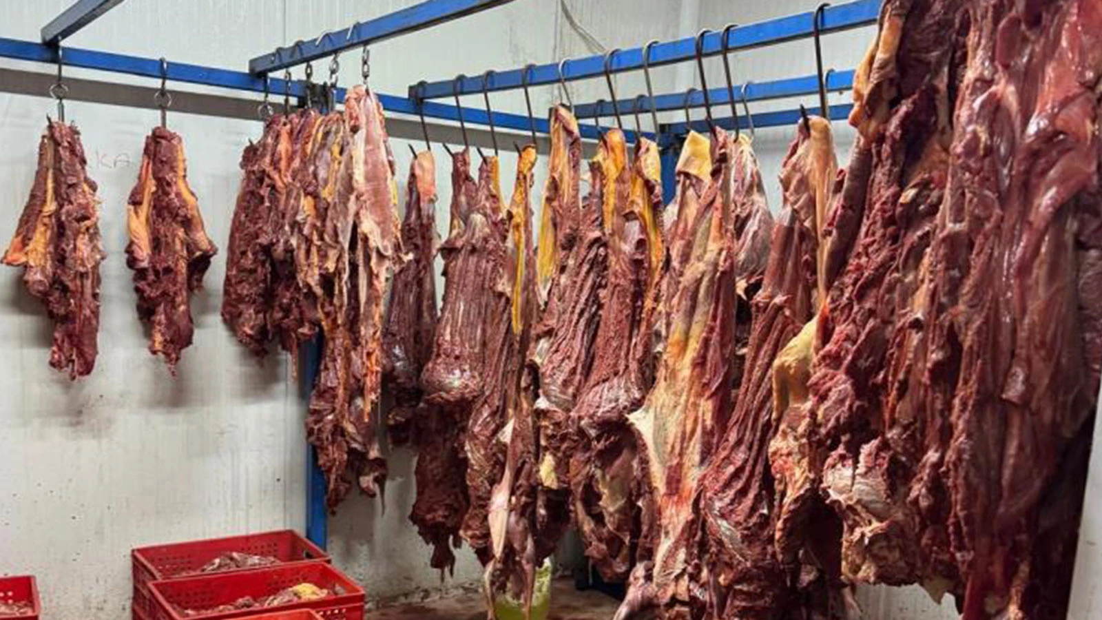 Adres Adana! 3 ton bozulmuş at eti ele geçirildi