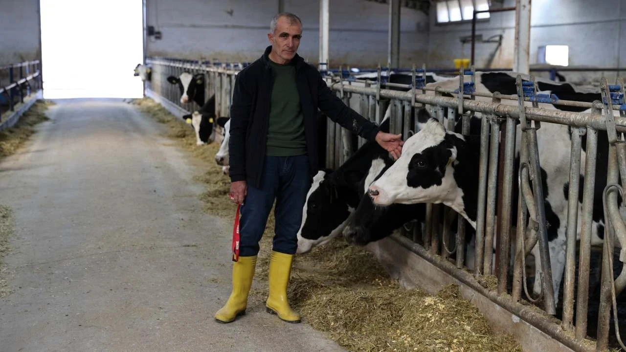 20 inekle başladı, günlük 1 ton süt üretir hale geldi