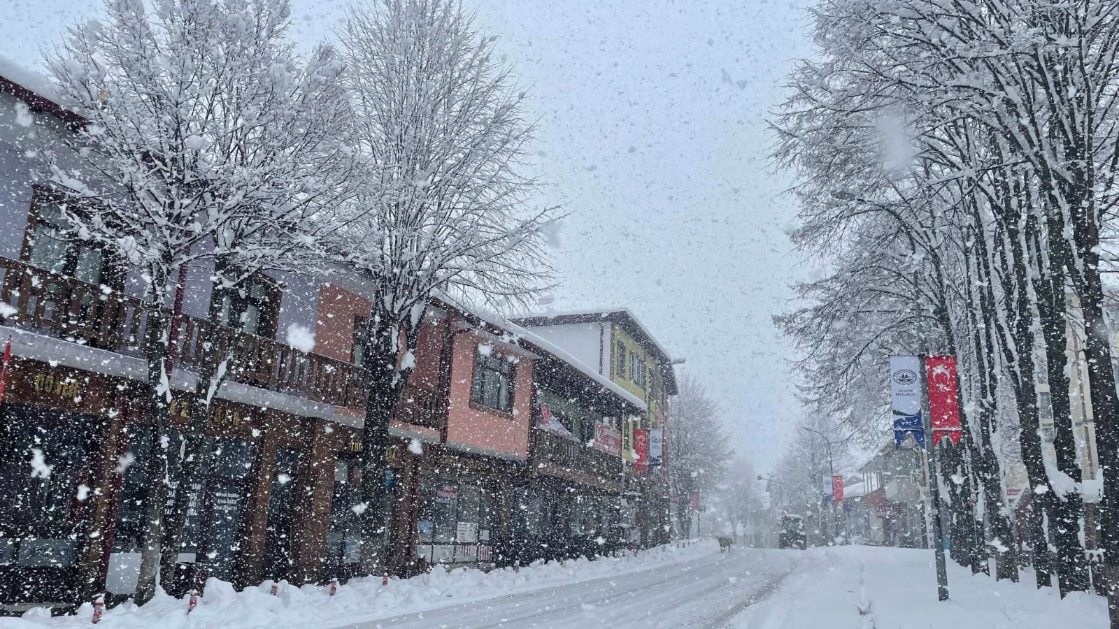 Kastamonu'da kar yağışı sürüyor: 181 köy yolu ulaşıma kapandı