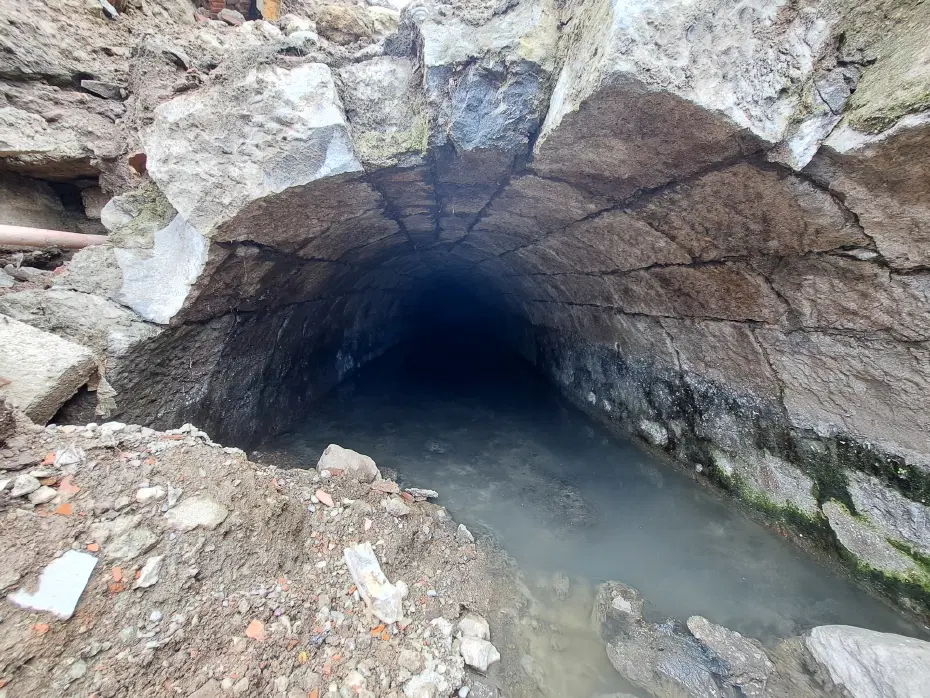 Türkiye'de bir örneği daha yok. Trabzon'da ortaya çıktı, uzmanlar da şaşırdı
