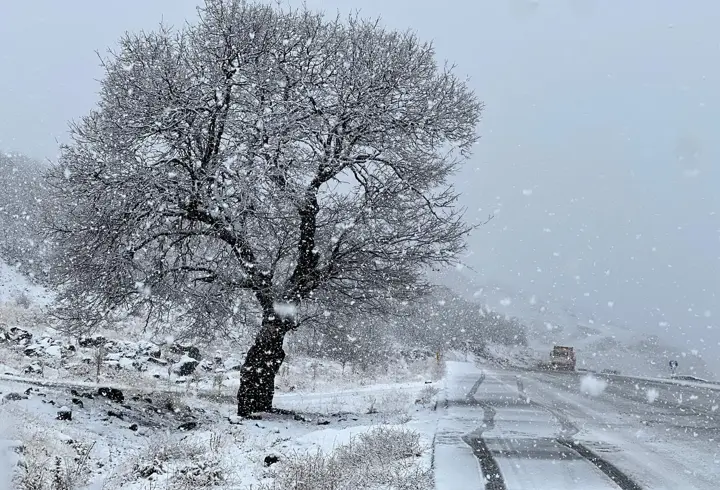 Bingöl-Elazığ karayolunda kar yağışı ulaşımı olumsuz etkiledi