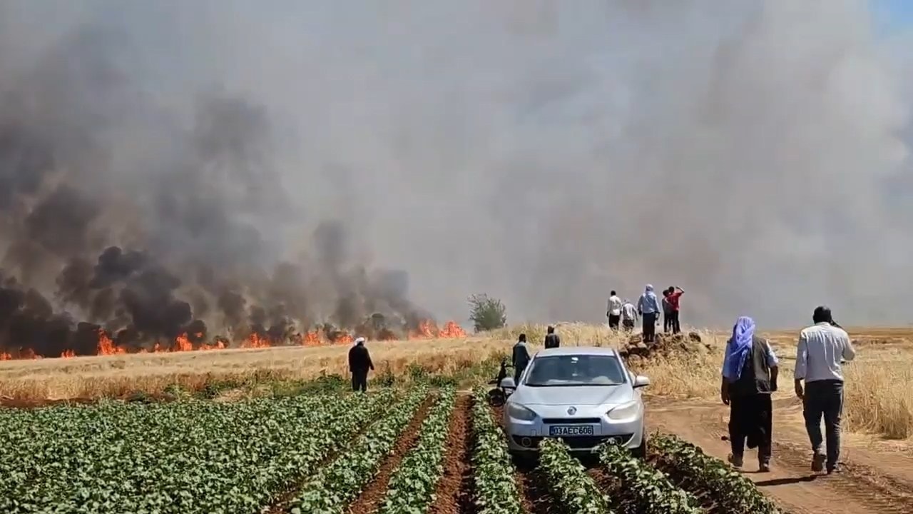 Şanlıurfa'da tarla yangını: 1'i ağır 5 kişi yaralandı