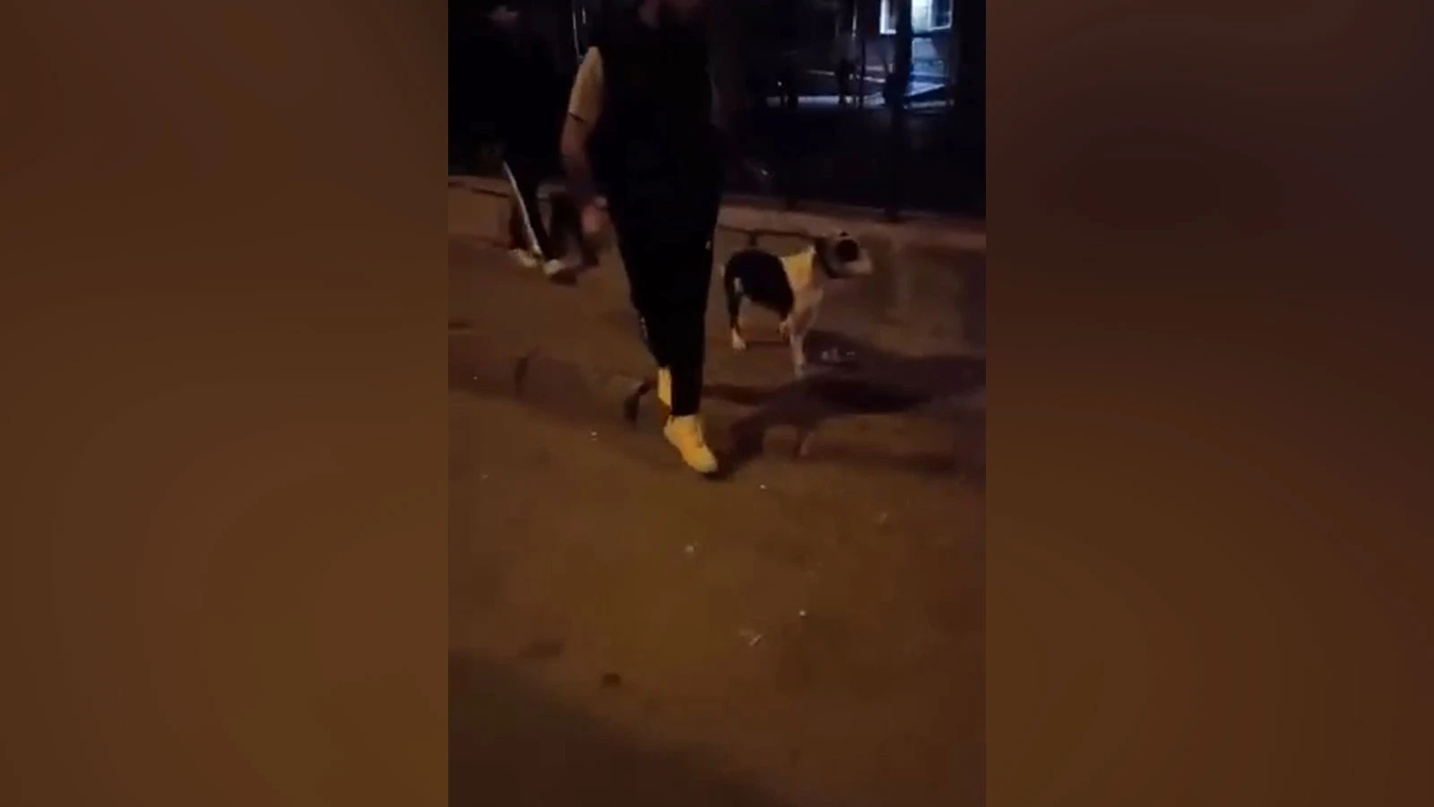 Isparta'da sokak kedisini tekmeleyen cani gözaltına alındı