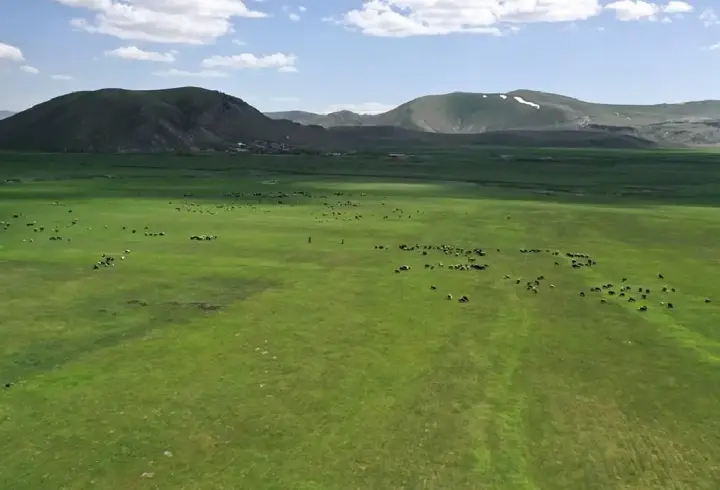 Bakanlıktan Kars'taki "mera yasağı" iddialarına yalanlama