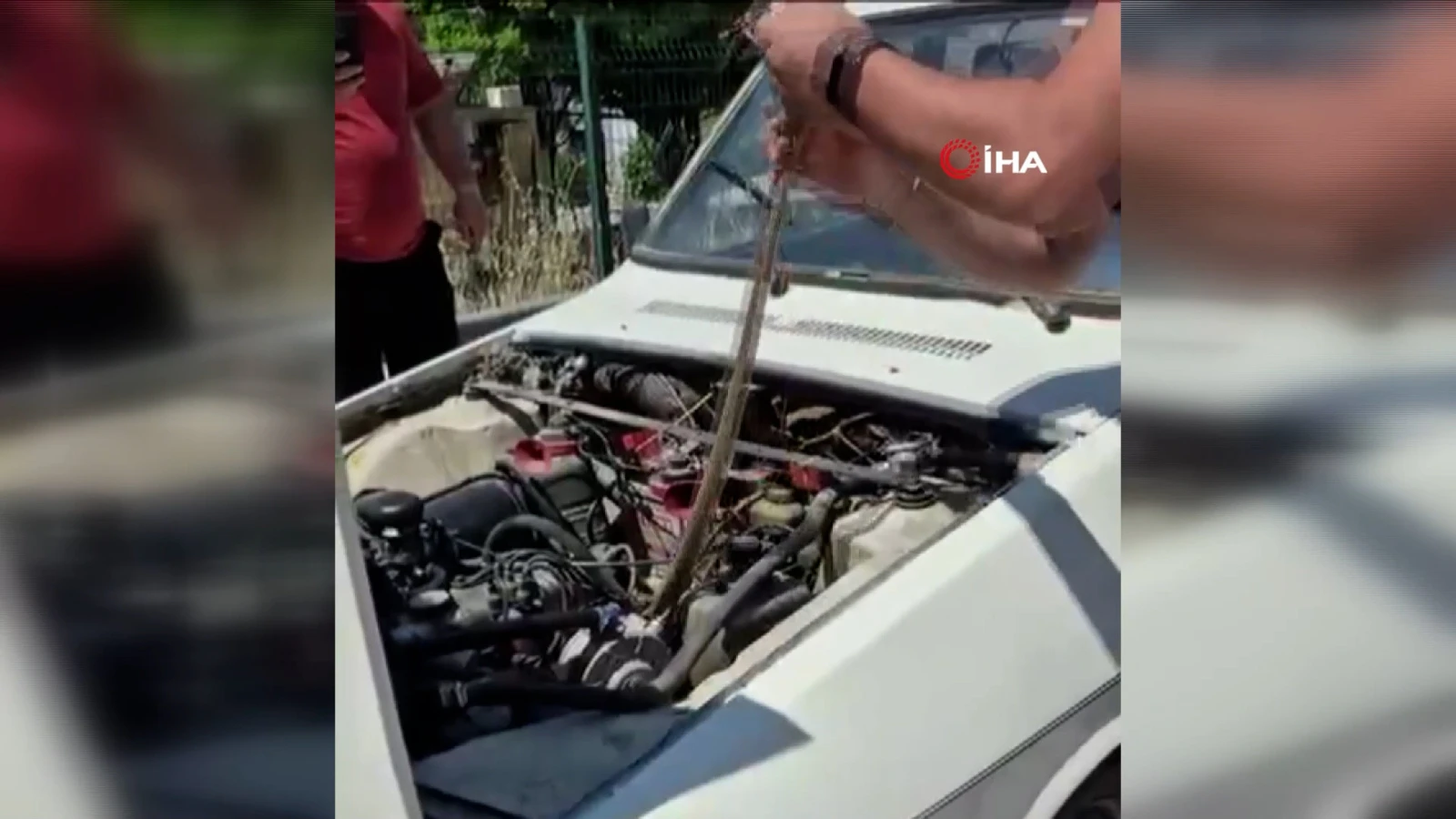 Aracın motoruna giren yılanı elindeki sopayla çıkardı